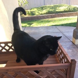 Meet your Posher, San